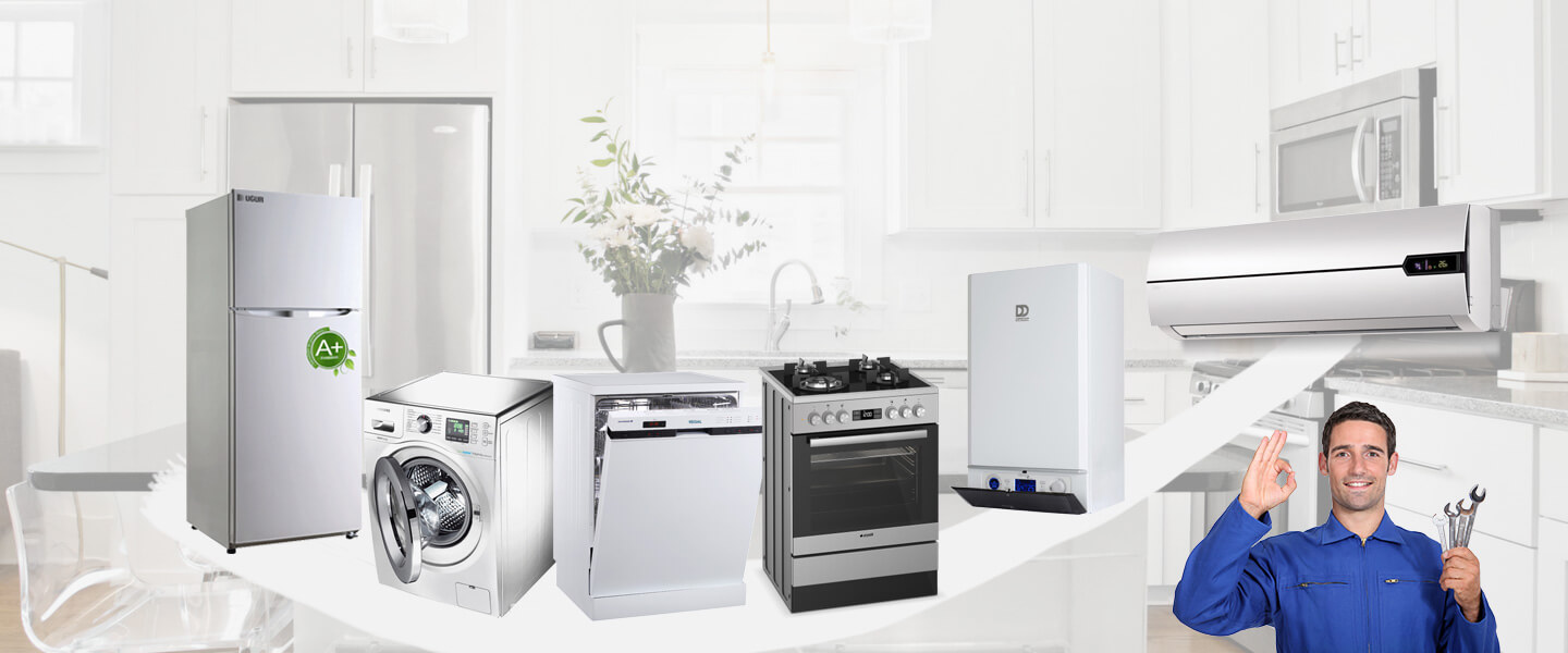 Ayvalık Gorenje Servisi